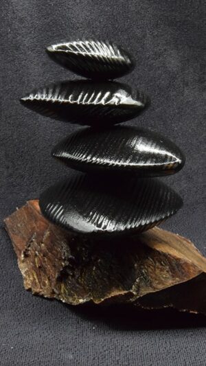 Black Balance